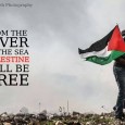 The United States Palestinian Community Network joins millions across the world in condemning Israel’s current onslaught against the Palestinian people.  The criminal, apartheid state is using the alleged abduction and death of three […]