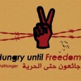 Take Action: Sign USPCN’s Petition to #StopAD: sign your name to take a stand against the Israeli policy of administrative detention! Share this with your friends, tweet us @USPCN, and […]