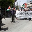 On Naksa Day, June 5, Invite Congress to This Week’s Palestine Briefing June 5th is the day Palestinians commemorate the Naksa, “setback” in Arabic, when the Israeli white-settler colonialists illegally […]