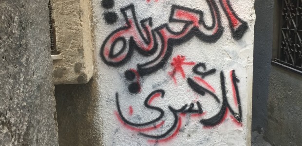 Day 4 of the Delegation: USPCN in Balata and New Askar Refugee Camps Help Support USPCN’s Delegation to Palestine! Donate here! Today, we visited the Palestinians of Balata and Askar […]