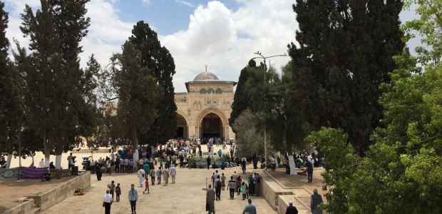 Day 13 of the Delegation: Our Final Day in Palestine Help support USPCN’s delegation to Palestine! Donate here! For our final day in Palestine, we first visited Grassroots Jerusalem, where […]